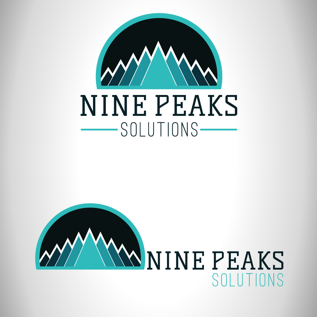 Logo-Design von Jace Asher Design für Nine Peaks Solutions LLC | Design #5681918