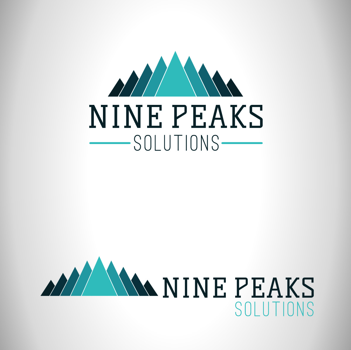 Logo Design by Jace Asher Design for Nine Peaks Solutions LLC | Design #5685943