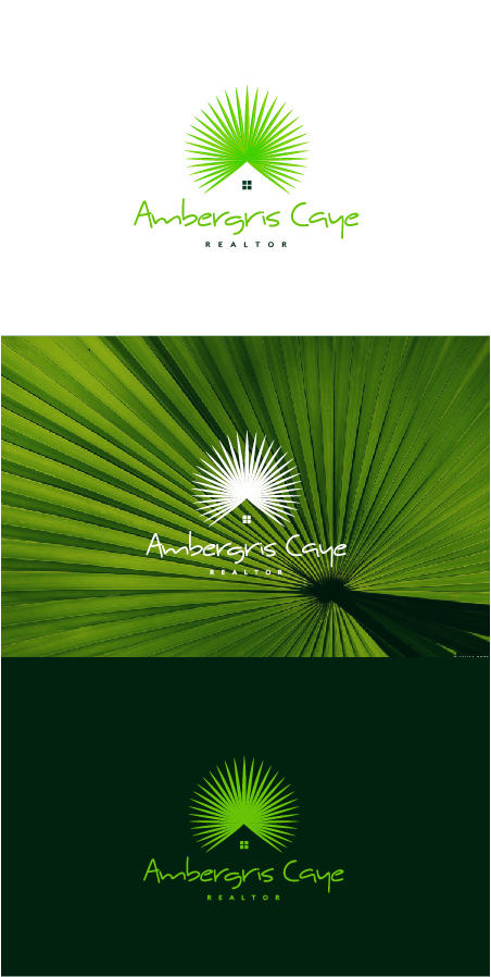 Logo Design by slaven.kopitovic for this project | Design #5763390