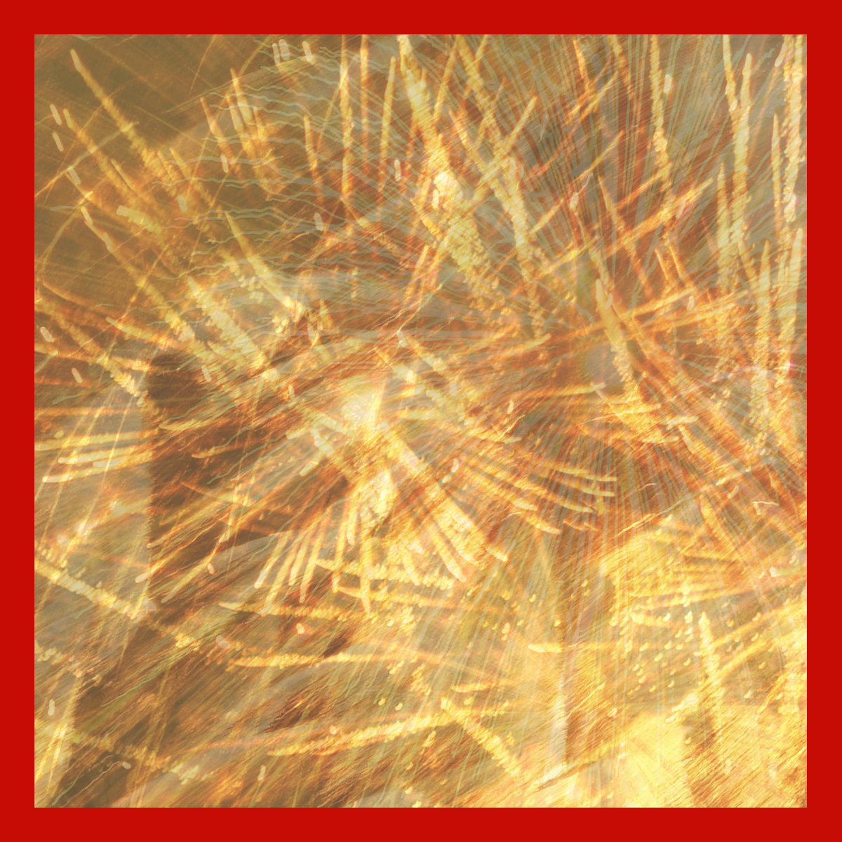 CD Cover Design by level457 for this project | Design #7812902