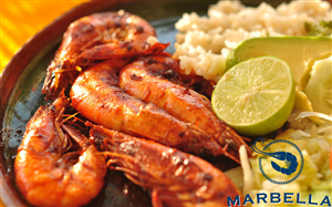 Diseño de Logo por vuxa para este proyecto | Diseño: #1555935