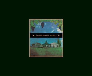 Logo Design by oveed_art