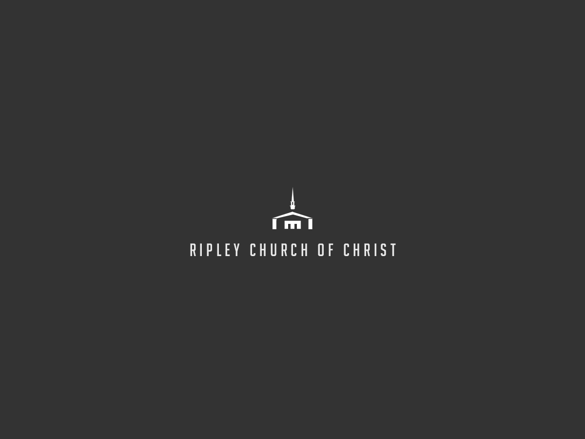 Logo Design by Seamus Radu for this project | Design #5708630