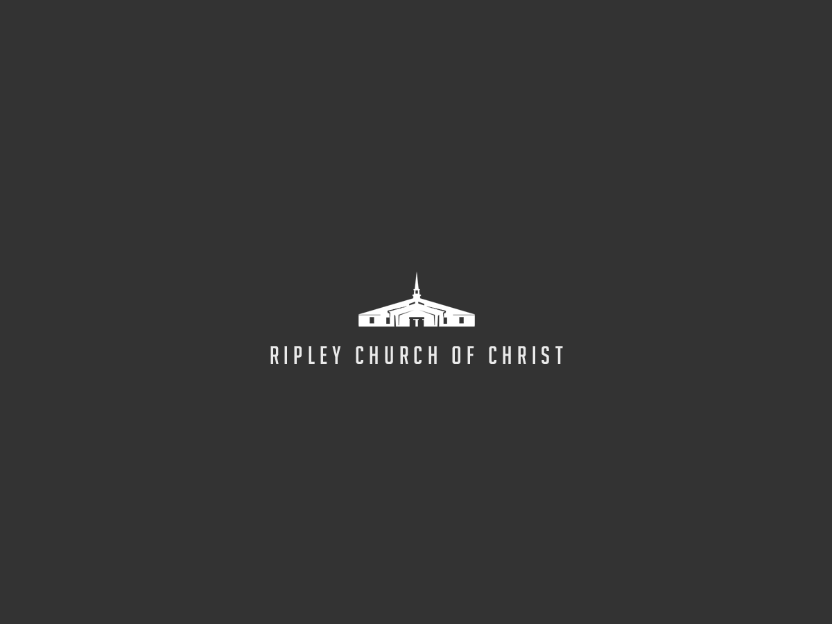 Logo Design by Seamus Radu for this project | Design #5708646