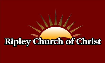 Logo Design by nirmani for this project | Design #5703037