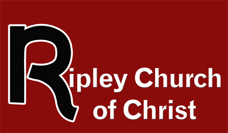 Logo Design by nirmani for this project | Design #5720113