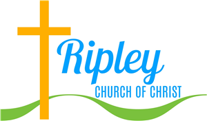 Logo Design by DS Design