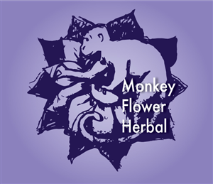 Logo Design by Angler Designs