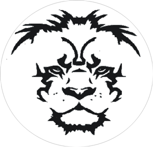 Vector Design by Ana Godinho
