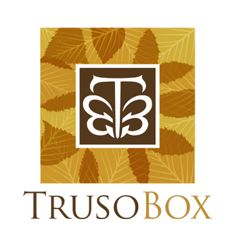 Logo Design by ERICK ANDRE VOORNEMAN for Trusoh Inc. | Design: #5780867