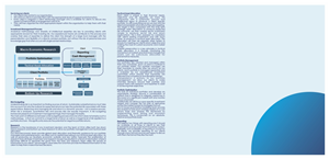 Brochure Design by barinix for this project | Design: #1561448
