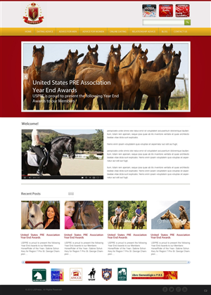 Wordpress Design by pb for United States PRE Breeders Association | Design: #1556619