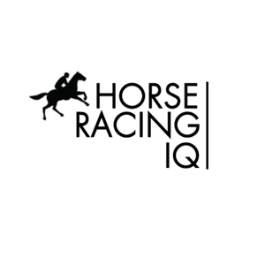 Logo Design by Vicky Frenkel Studio