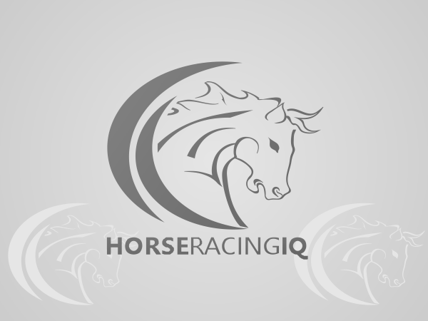 Logo Design by imaGinarium for this project | Design #303187