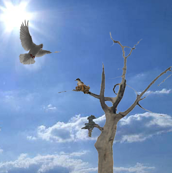 T-shirt Design by venezza for Amnesty International Australia | Design #1582004