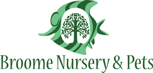 Logo Design by Haley 