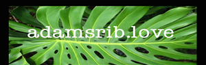 Banner Ad Design by Idea Works for this project | Design: #5701281