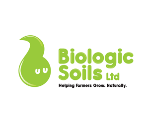 Logo Design by Rui Bravo