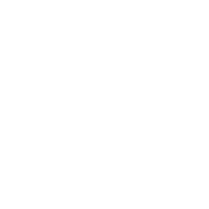 Icon Design by bdopira