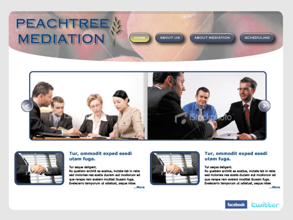 Web Design by Darthv2000 for this project | Design #307626