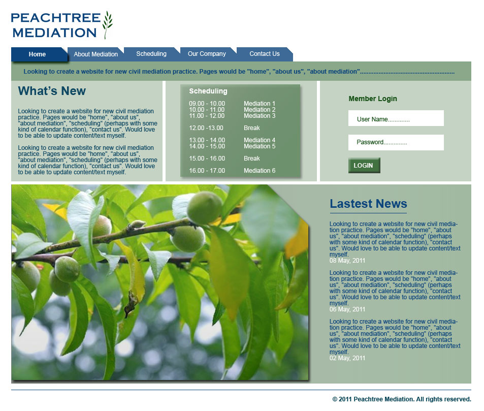 Web-Design von Eri Widayanto für dieses Projekt | Design #311487