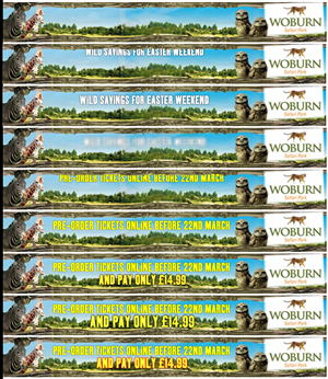 Banner Ad Design by Anna 