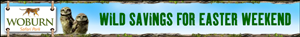 Banner Ad Design by neboica for Woburn Safari Park | Design: #1557783