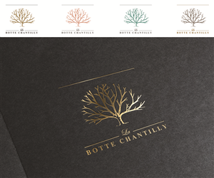 Logo Design by ChicD for LA BOTTE WEB DIFFUSION | Design: #5768331