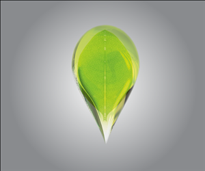 Logo Design by Alin