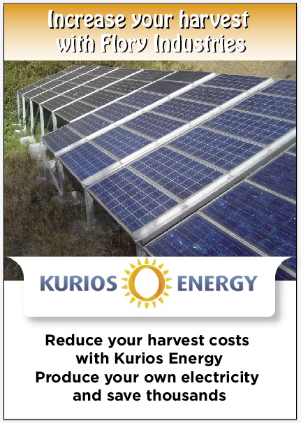 Design de Carte par Johne pour ce projet | Design #1570379