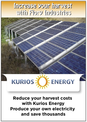 Card Design by Johne for this project | Design: #1570379