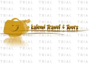 Logo Design by bochelo for Kalemi Travel & Tours | Design: #1740284