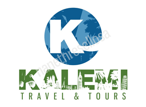 Logo Design by NeonDrawGraphics