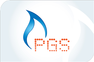 Logo Design by DeLOGOsign for PGS Services Ltd | Design: #312207