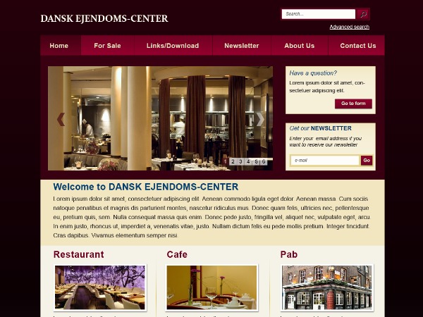 Web Design by Lili for Catillo Aps | Design #305392