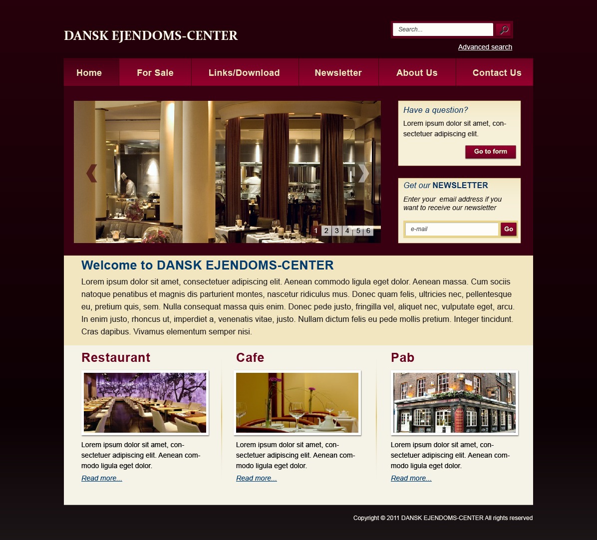 Web Design by Lili for Catillo Aps | Design #305395