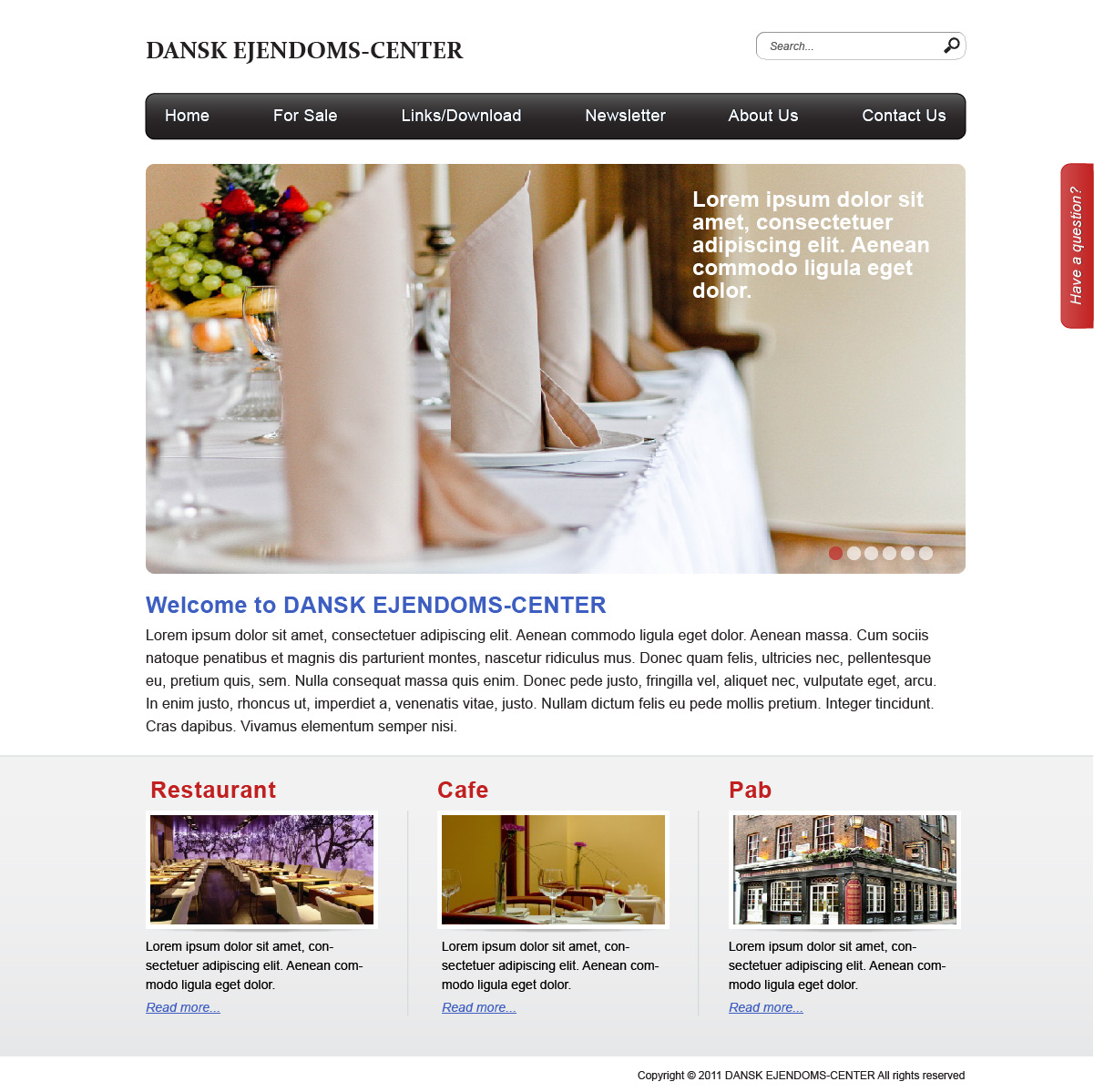 Web Design by Lili for Catillo Aps | Design #306083