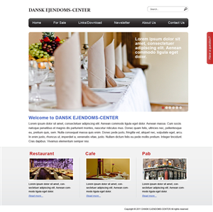 Web Design by Lili for Catillo Aps | Design: #306083