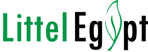 Logo Design by Artament
