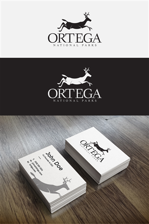 Logo Design by Rizwan Ashraf