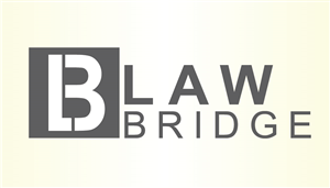 Design de Logo par MacDesigns pour CyberSquad IT Consulting | Design : #5700173