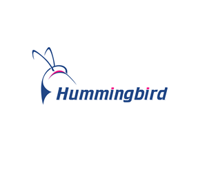 High impact, professional and modern brand for Hummingbird Change Consultancy | Graphic Design by borzoid