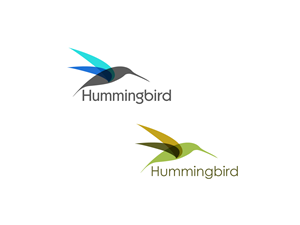 High impact, professional and modern brand for Hummingbird Change Consultancy