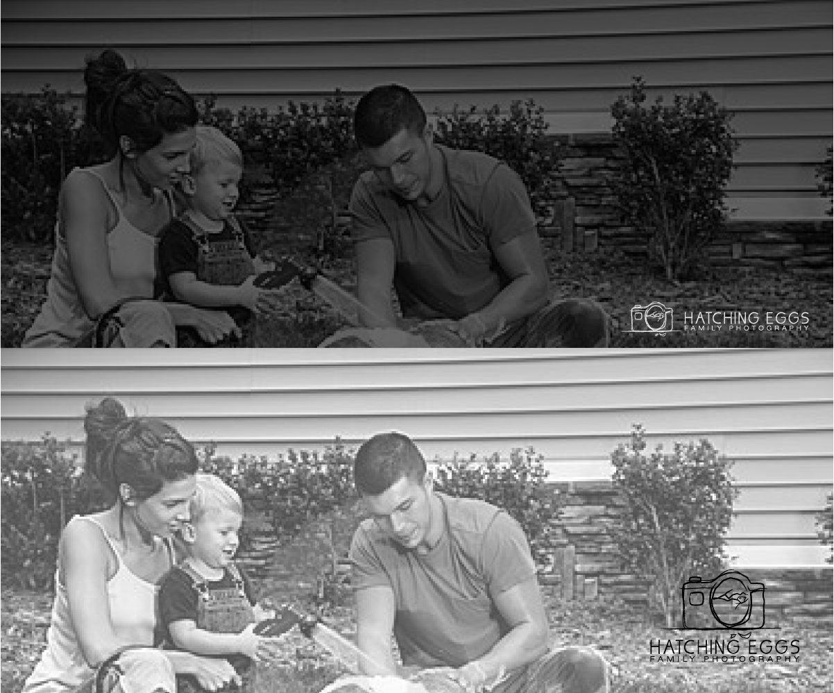 Diseño de Logo por GliderGraphx para este proyecto | Diseño #5742467