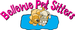 Logo Design by Susie Basso