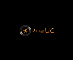 Logo Design by Aura Designs