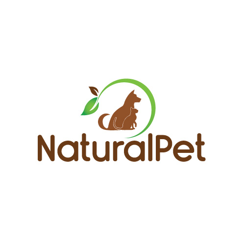 Logo Design by Himanshi10 for this project | Design #5704025