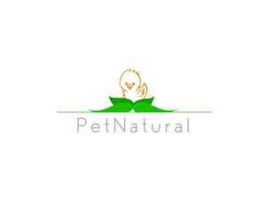 Logo Design by AleOnDaWeb