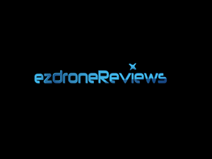 Logo Design by dann