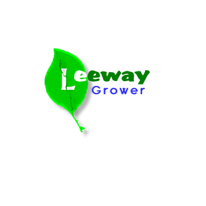 Logo Design by wi2n